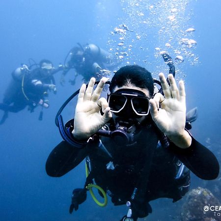 Ocean Lovers Hostel & Apartments タガンガ エクステリア 写真