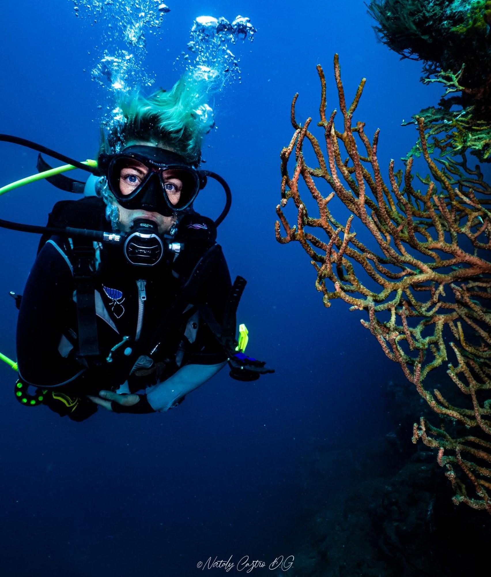 Ocean Lovers Hostel & Apartments タガンガ エクステリア 写真