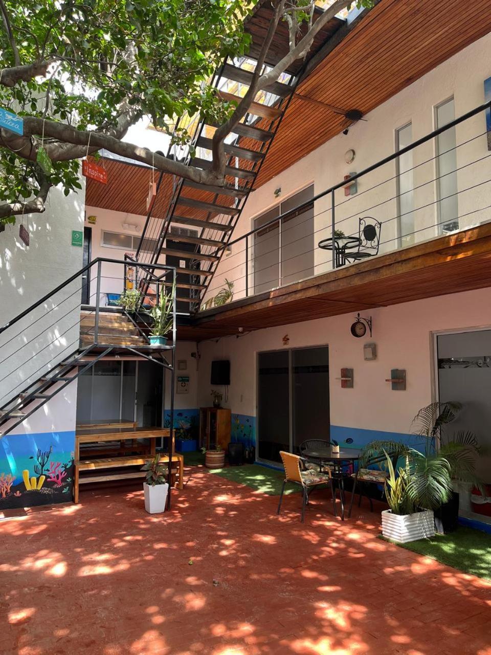 Ocean Lovers Hostel & Apartments タガンガ エクステリア 写真